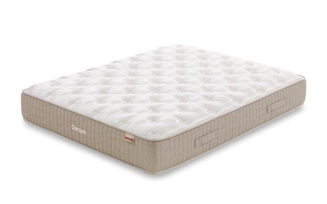 12 NATUR TALALAY